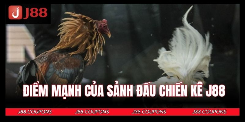 Các điểm mạnh nổi trội của sảnh đấu chiến kê J88