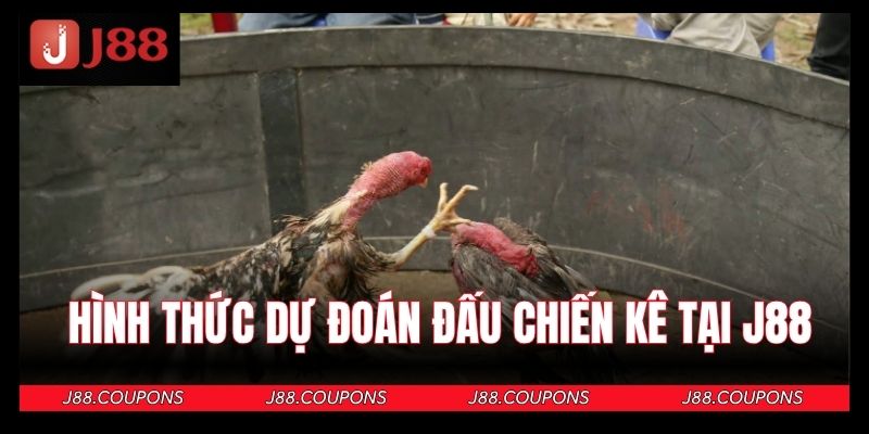 Hình thức đá gà J88 cựa sắt