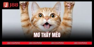 Giải M&atilde; Giấc Mơ Thấy M&egrave;o - Điềm L&agrave;nh Hay Dữ? N&ecirc;n Đ&aacute;nh Số G&igrave;?