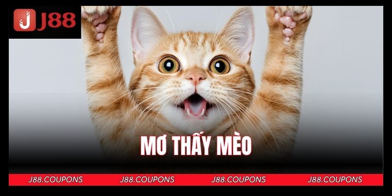 Giải Mã Giấc Mơ Thấy Mèo - Điềm Lành Hay Dữ? Nên Đánh Số Gì?